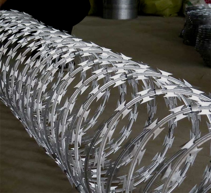 CONCERTINA CONCERTINA